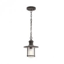Riverwood_8M lampa wisząca latarnia 1x100W E27 zwietrzały cynk IP23